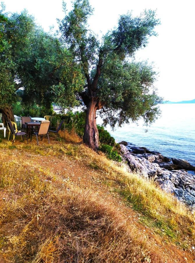 Villa Leonidas Greecefiloxenia Lefokastro Extérieur photo