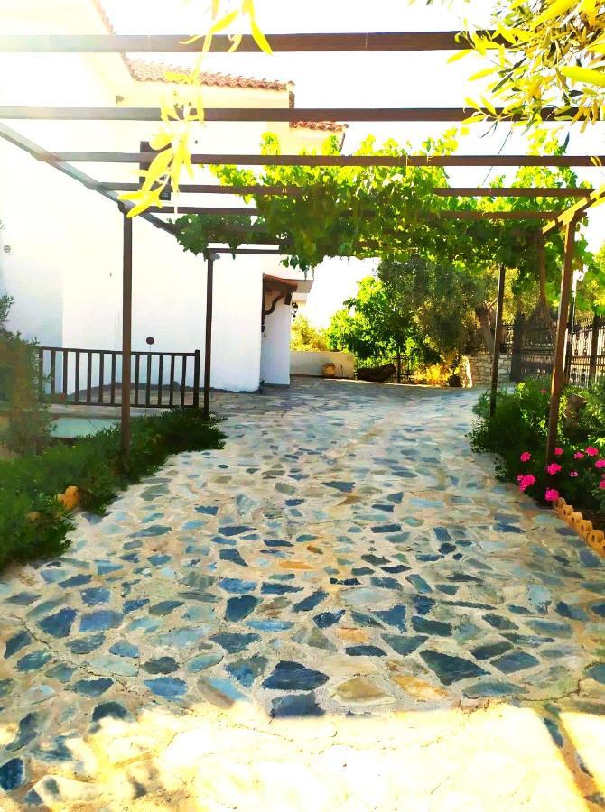 Villa Leonidas Greecefiloxenia Lefokastro Extérieur photo