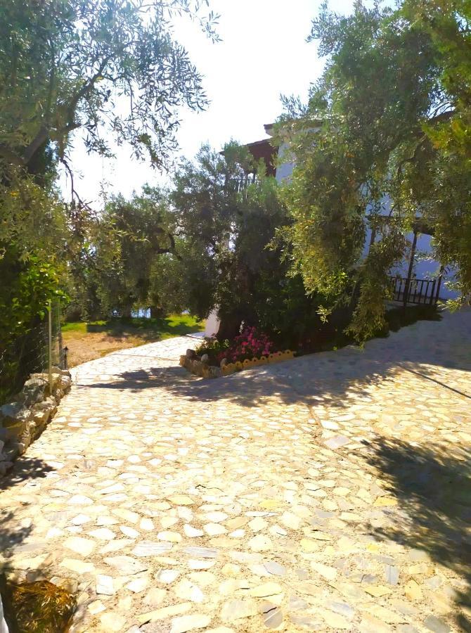 Villa Leonidas Greecefiloxenia Lefokastro Extérieur photo