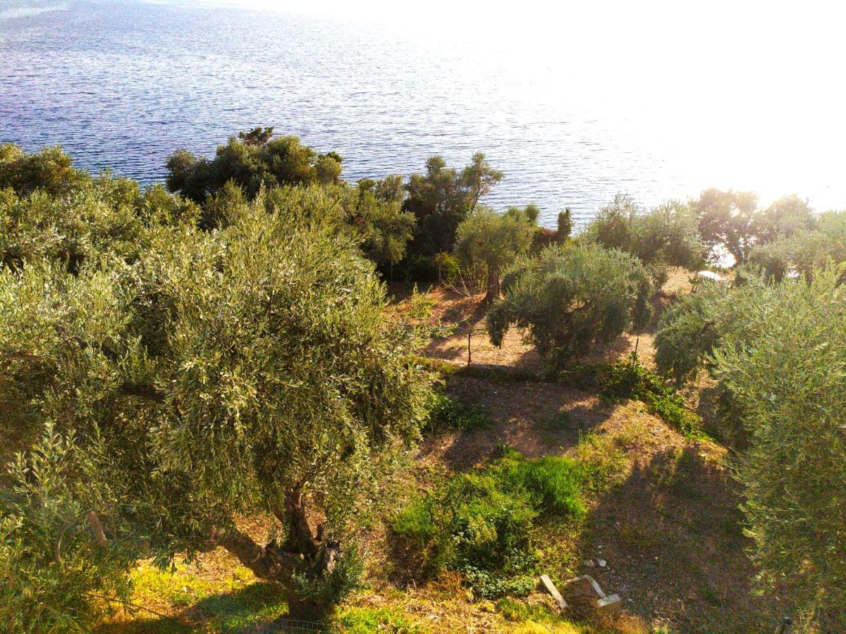 Villa Leonidas Greecefiloxenia Lefokastro Extérieur photo